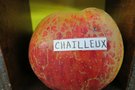 vignette pomme 'Chailleux' Pomme  couteau