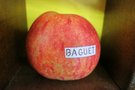 vignette pomme 'Baguet' Pomme  couteau