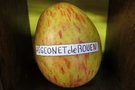 vignette pomme 'Pigeonnet de Rouen' Pomme  couteau