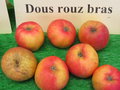 vignette pomme 'Dous Rouz Braz',  cidre