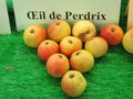 vignette pomme 'Oeil de Perdrix',  cidre