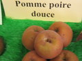 vignette pomme 'Poire Douce',  cidre