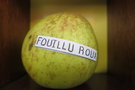 vignette pomme 'Fouillu Roux' Pomme  cidre