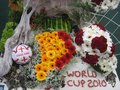 vignette Coupe du Monde 2010 - 'World Cup 2010'
