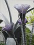 vignette Sculpture - Glass Flower de Jenny Pickford