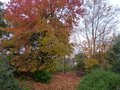 vignette Couleurs d'automne en se baladant vers le fond du jardin au 17 11 12