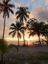 vignette Coucher de soleil sur Coco nucifera - Cocotiers de  Playa Espadilla Manuel Antonio