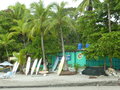 vignette Coco nucifera - Cocotiers de  Playa Espadilla Manuel Antonio