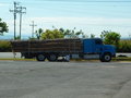 vignette Camion de transport de bois exotiques