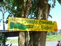vignette Crocodiles Tour sur Rio Tarcoles