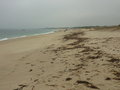 vignette Dunes et tangs de Trvignon, la plage 11 2012