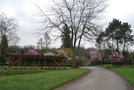 vignette Magnolia. Nantes, Parc Floral de La Beaujoire en mars 2011