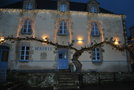 vignette Wisteria sinensis (Rochefort en Terre, Morbihan, Bretagne)