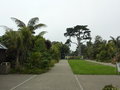 vignette Jardin Botanique dans le Golden Gate Parc
