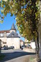 vignette Vitis vinifera cv.   (Curemonte, Corrze, Limousin)