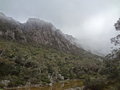 vignette Tasmania's Central Plateau