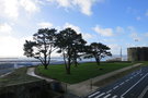 vignette Jardin de l'Acadmie de Marine - Pinus radiata = Pin insignis - Pin de Monterey