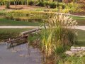 vignette Nantes, Parc Exotique du Grand Blottereau, jardin coren