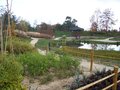 vignette Nantes, Parc Exotique du Grand Blottereau, jardin coren