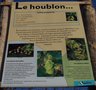 vignette Humulus lupulus  (le houblon)