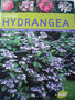 vignette hortensia : Hydrangea, Corinne Mallet
