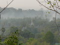 vignette Borassus flabellifer, Angkor
