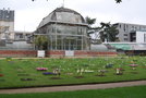 vignette Nantes, Jardin des plantes   (mars 2013)