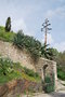 vignette Villa Noailles, Hyres les Palmiers, Var, Provence Alpes Cte d'Azur.