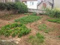vignette jardin potager en Croatie