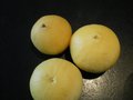 vignette 2013 - 1 Fruits du grand bergamotier