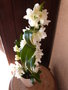 vignette Orchide Dendrobium Starclass