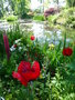 vignette Jardins Claude Monet  Giverny