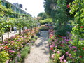 vignette Jardins Claude Monet  Giverny