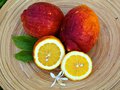 vignette Cdrat rouge (Citrus limonimedica 'Rosso')