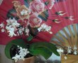 vignette Phalaeno  petites fleurs - reflo juin