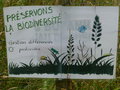 vignette Préservons la biodiversité