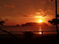 vignette Coucher de soleil sur Coco nucifera - Cocotiers de  Playa Espadilla Manuel Antonio