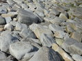 vignette Farranamanagh/plage de pierre