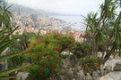 vignette Jardin Exotique de Monaco
