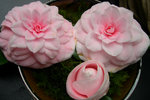 vignette Camellia 'Souvenir de Bahuaud-Litou', japonica