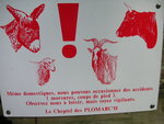 vignette Les Plomarc'h - les animaux de la ferme