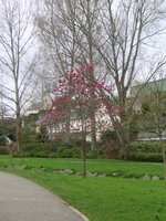 vignette Jardin Public du Stang Alar