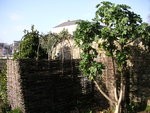 vignette Jardin de Locmaria  Quimper en Hiver 2007