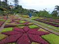 vignette Mosaiculture au Jardin botanique de Funchal  Madre
