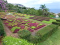 vignette Mosaiculture au Jardin botanique de Funchal  Madre