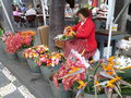 vignette Marchande de fleurs  Funchal