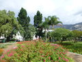 vignette Le Parc Sainte-Catherine - Parque de Santa Catarina Funchal