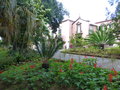 vignette Jardin de la Quinta Vigia - Jardin du Gouverneur - Funchal