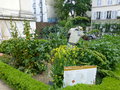 vignette Potager