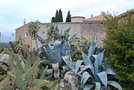 vignette Opuntia & Agave (Tourtour, Var, Provence Alpes Cte d'Azur, France